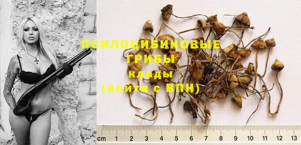 круглые Алексеевка