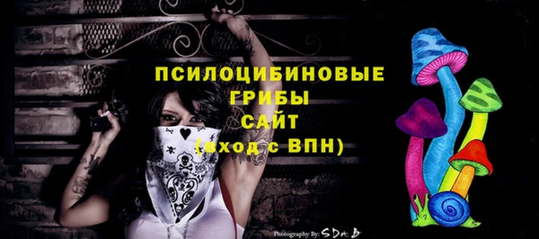 круглые Алексеевка